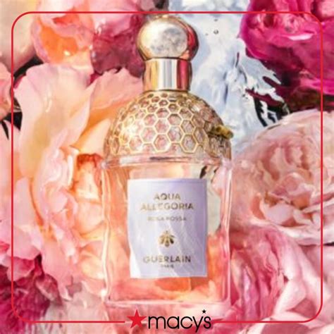 aqua allegoria violette|aqua allegoria perfume macy's.